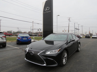 2019 Lexus ES 350 for sale in Toledo OH