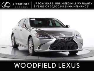 2019 Lexus ES 350 for sale in Schaumburg IL