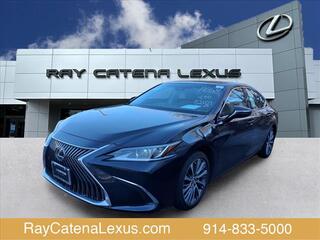 2019 Lexus ES 350 for sale in Larchmont NY