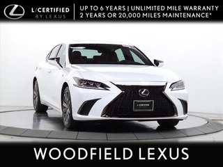 2019 Lexus ES 350 for sale in Schaumburg IL