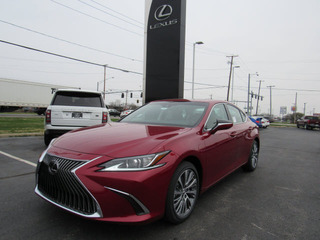 2019 Lexus ES 350 for sale in Toledo OH