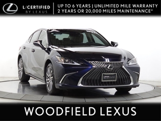 2021 Lexus ES 250 for sale in Schaumburg IL