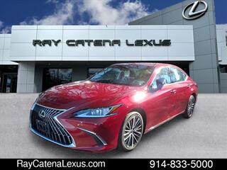 2023 Lexus ES 250 for sale in Larchmont NY