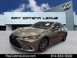 2023 Lexus ES 250 for sale in Larchmont NY