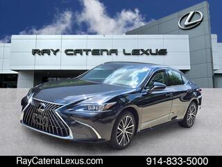 2024 Lexus ES 250