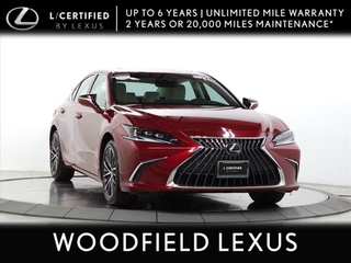 2024 Lexus ES 250 for sale in Schaumburg IL