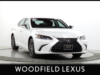 2022 Lexus ES 250 for sale in Schaumburg IL