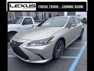2023 Lexus ES 250 for sale in Chattanooga TN