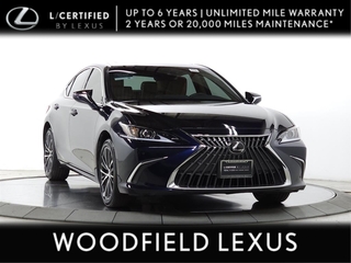 2024 Lexus ES 250 for sale in Schaumburg IL