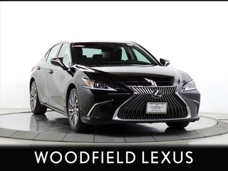 2021 Lexus ES 250 for sale in Schaumburg IL