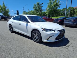 2023 Lexus ES 250