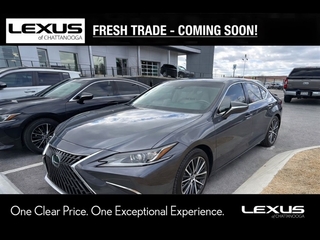 2023 Lexus ES 250 for sale in Chattanooga TN