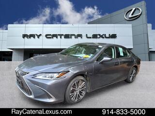 2023 Lexus ES 250 for sale in Larchmont NY