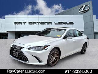 2023 Lexus ES 250 for sale in Larchmont NY