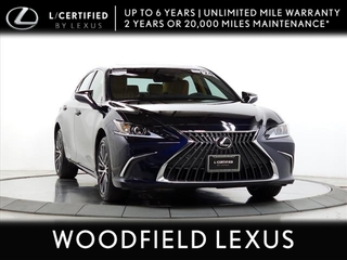 2024 Lexus ES 250 for sale in Schaumburg IL