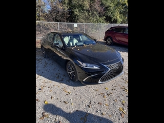 2024 Lexus ES 250 for sale in Allentown PA