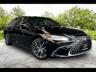 2024 Lexus ES 250 for sale in Freehold NJ