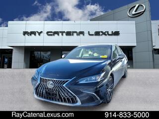 2023 Lexus ES 250 for sale in Larchmont NY