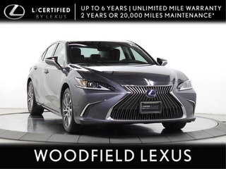 2020 Lexus ES 300h for sale in Schaumburg IL
