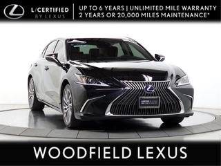 2020 Lexus ES 300h for sale in Schaumburg IL