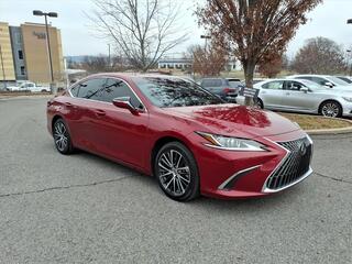 2023 Lexus ES 300h for sale in Nashville TN