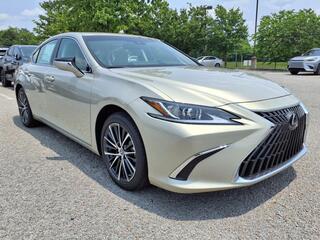 2025 Lexus ES 300h for sale in Nashville TN