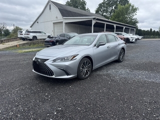 2024 Lexus ES 300h for sale in Allentown PA