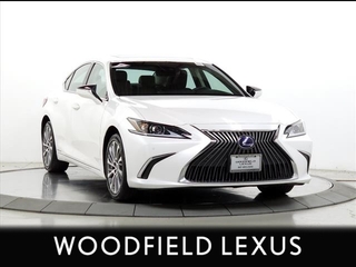 2021 Lexus ES 300h for sale in Schaumburg IL