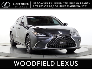 2023 Lexus ES 300h for sale in Schaumburg IL