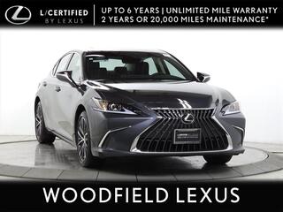 2025 Lexus ES 300h for sale in Schaumburg IL