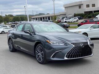 2025 Lexus ES 350 for sale in Chattanooga TN