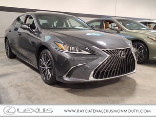 2025 Lexus ES 350 for sale in Freehold NJ