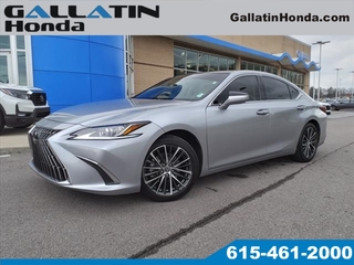 2022 Lexus ES 350 for sale in Gallatin TN