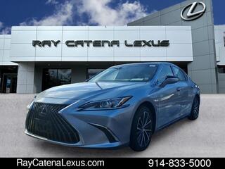 2022 Lexus ES 350 for sale in Larchmont NY