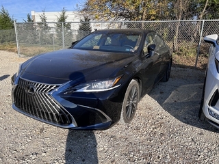 2024 Lexus ES 350 for sale in Allentown PA