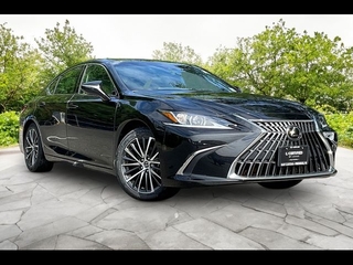 2024 Lexus ES 350 for sale in Freehold NJ