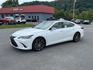 2025 Lexus ES 350 for sale in Kingsport TN