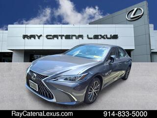 2022 Lexus ES 350 for sale in Larchmont NY