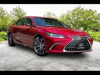 2023 Lexus ES 350 for sale in Freehold NJ