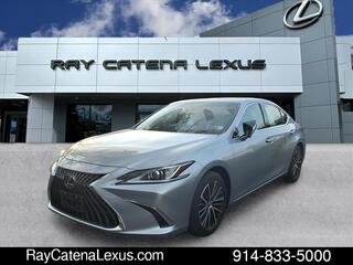 2023 Lexus ES 350 for sale in Larchmont NY