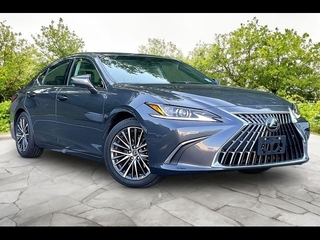 2025 Lexus ES 350 for sale in Freehold NJ