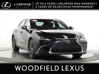 2022 Lexus ES 350 for sale in Schaumburg IL