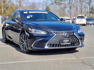 2022 Lexus ES 350 for sale in Freehold NJ