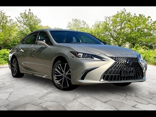 2024 Lexus ES 350 for sale in Freehold NJ
