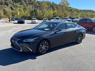 2024 Lexus ES 350 for sale in Kingsport TN