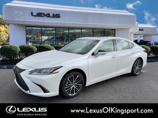 2025 Lexus ES 350 for sale in Kingsport TN