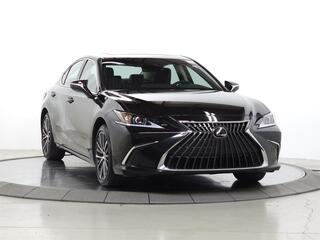 2025 Lexus ES 350 for sale in Schaumburg IL