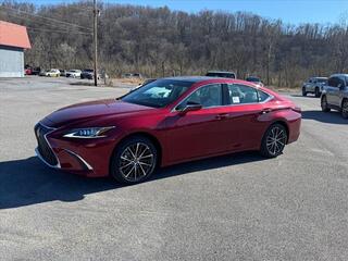 2025 Lexus ES 350 for sale in Kingsport TN