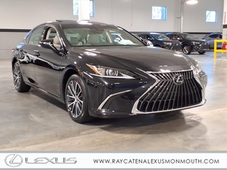 2025 Lexus ES 350 for sale in Larchmont NY