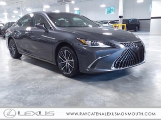 2025 Lexus ES 350 for sale in Oakhurst NJ